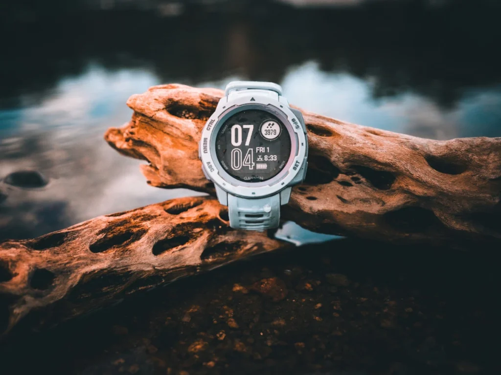 czy garmin